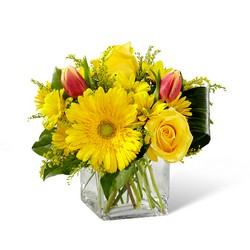 The Spring Sunshine Bouquet from Parkway Florist in Pittsburgh PA